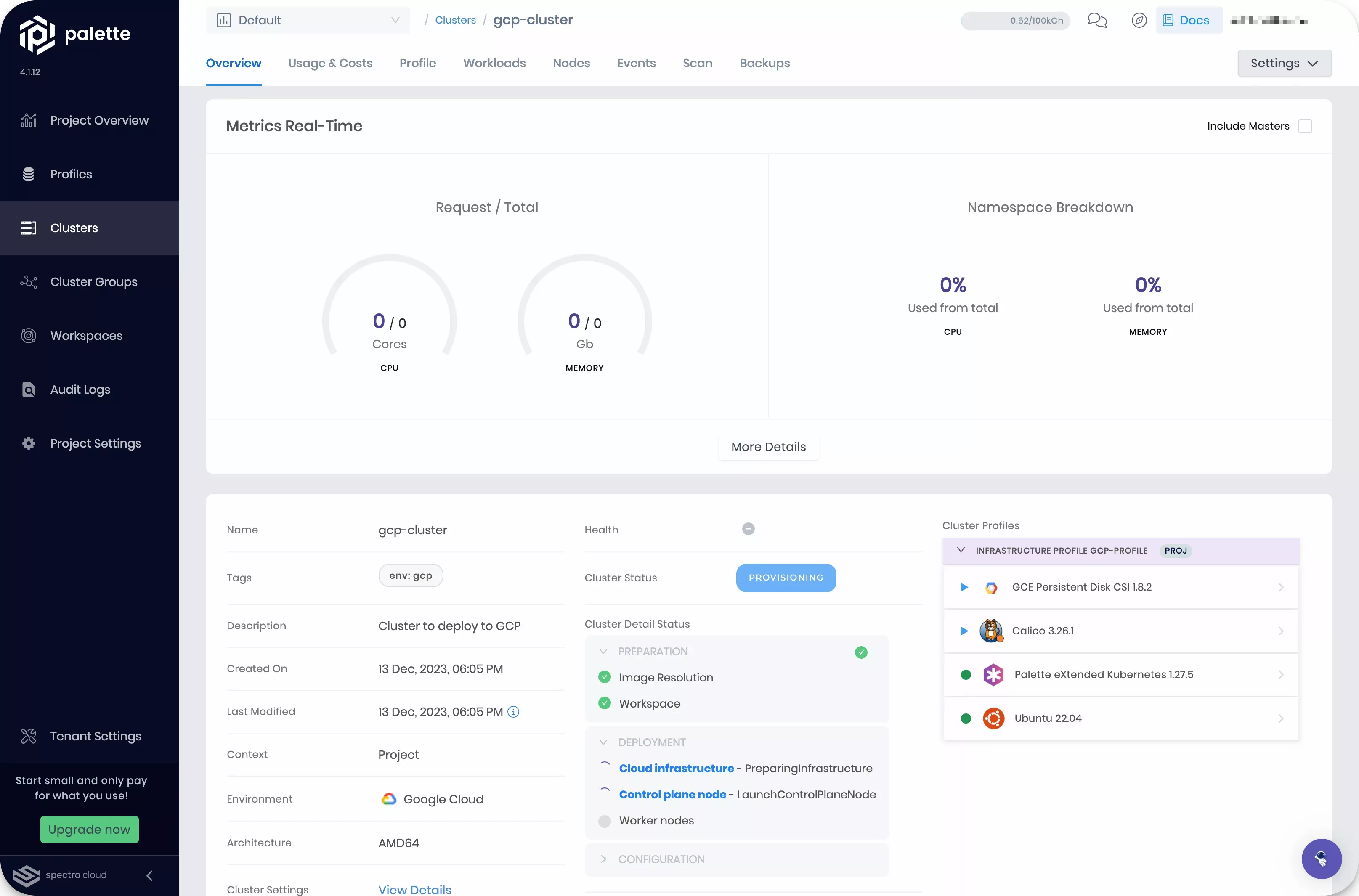 View of the cluster details page